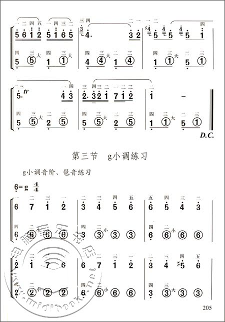 手风琴演奏入门(简谱大字版)