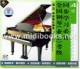 全国钢琴(业余)考级同步学习必备：考前强化辅导 4级(2VCD)
