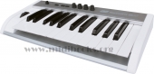ESI KeyControl 25 XT 专业MIDI键盘