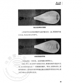 中国民族乐器小百科：琵琶