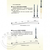 单簧管：速学教程入门与提高一本通（附DVD光盘）